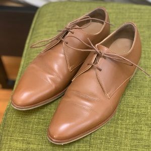Everlane modern oxfords cognac size 7